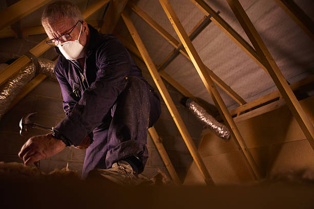 Best Eco-Friendly Insulation in Wade Hampton, SC